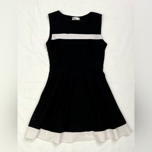 Black Skater Skirt Dress